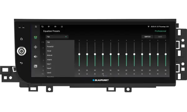 Blaupunkt San Jose 1000 -  12.33